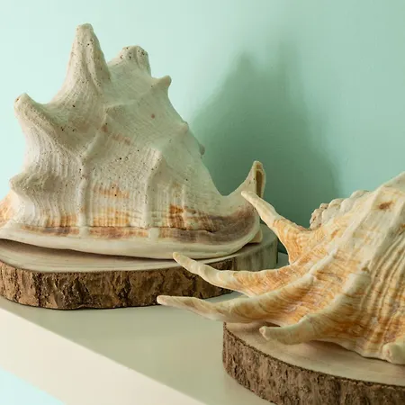 Apartament Pe Na Da Foz *