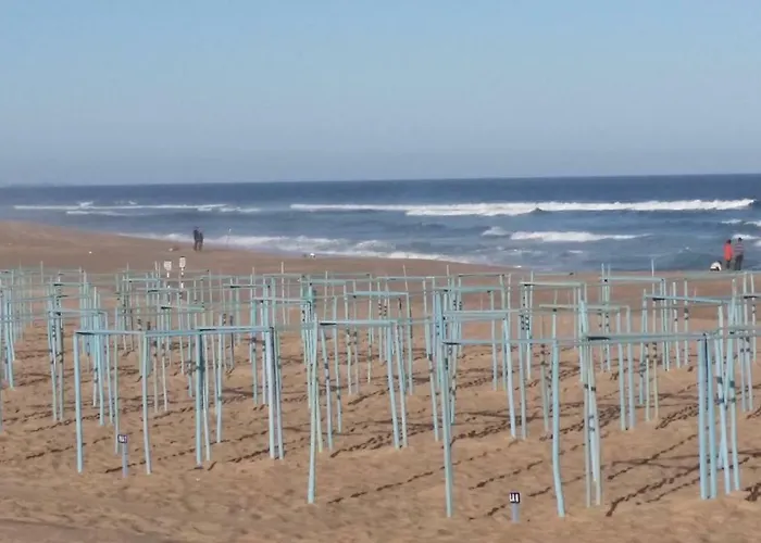 Pe Na Da Foz Apartment