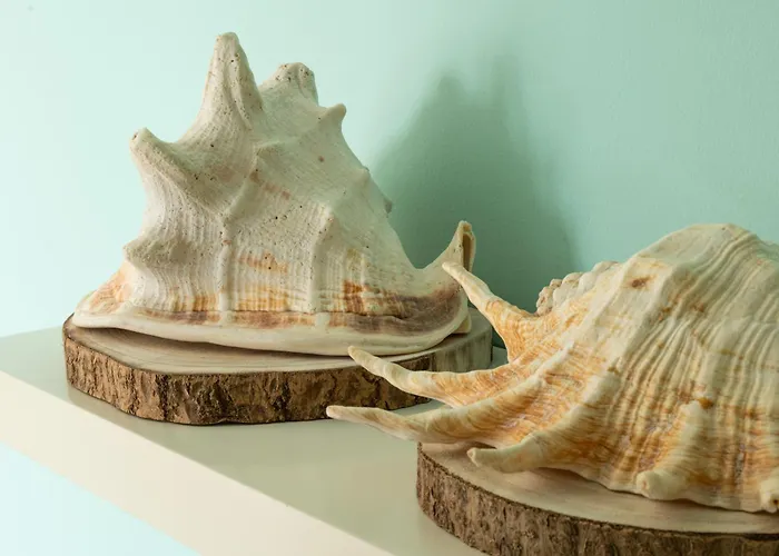 Appartement Pé Na Da Foz *